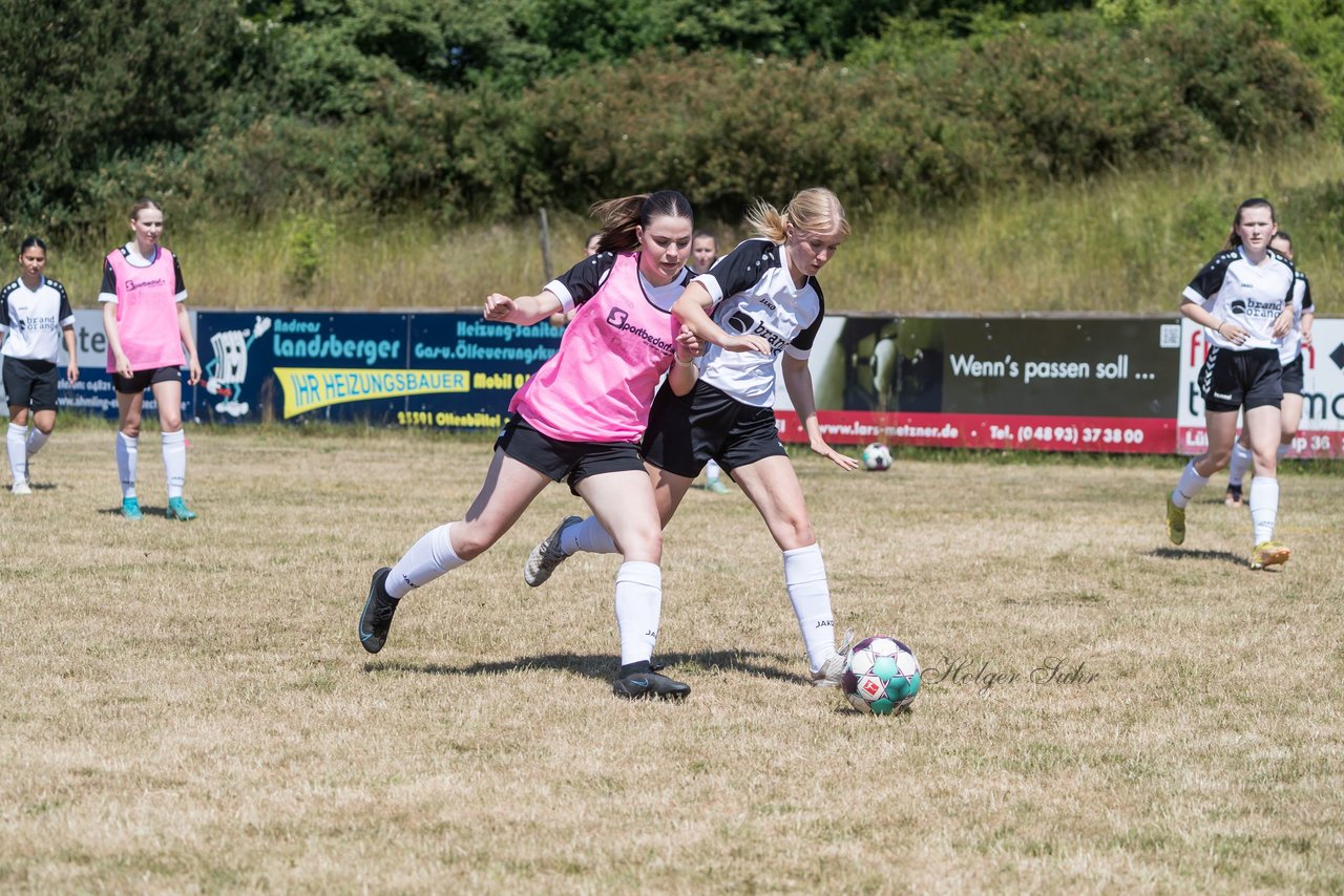 Bild 134 - wBJ TuRa Meldorf/Buesum - JFV Luebeck : Ergebnis: 1:0